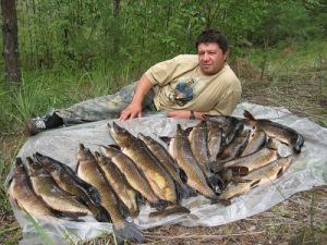 Рыбалка на озерах тайги. Рыбалка на Иртыше. Улов на Иртыше. Рыбные места на Иртыше. Рыбалка на Иртыше в Омске.